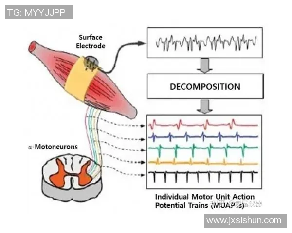 足球明星健身训练全方位解析助力科学塑造强健体魄